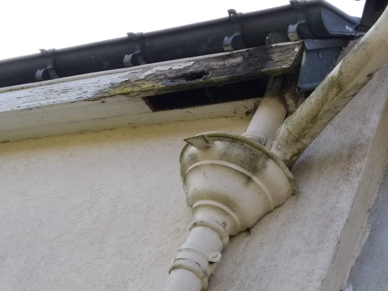 Pose de PVC planche de rive sous face ou cache moineau - avant