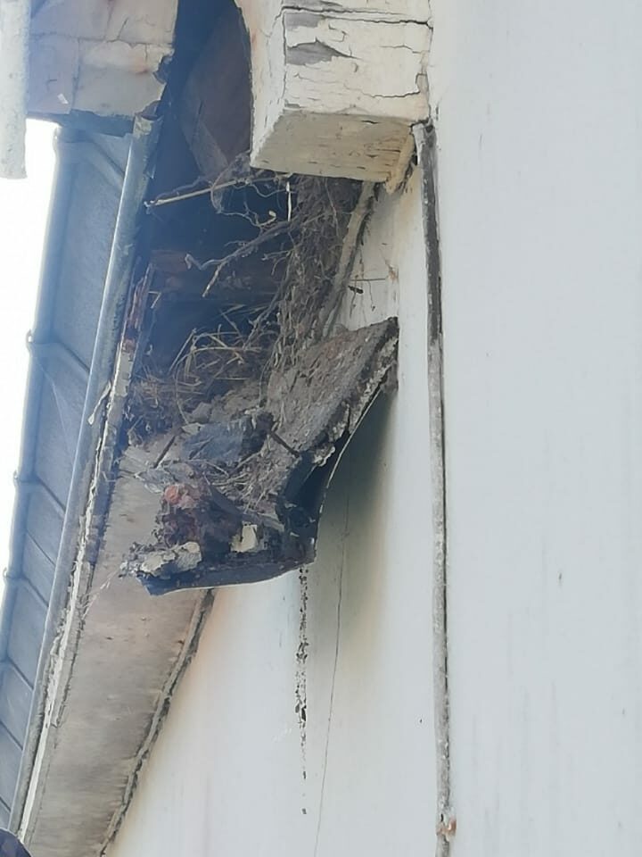 Pose de PVC sur planche de rive et sous-face - avant