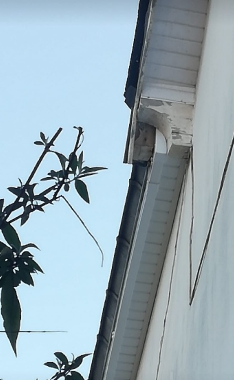 Pose de PVC sur planche de rive et sous-face - après