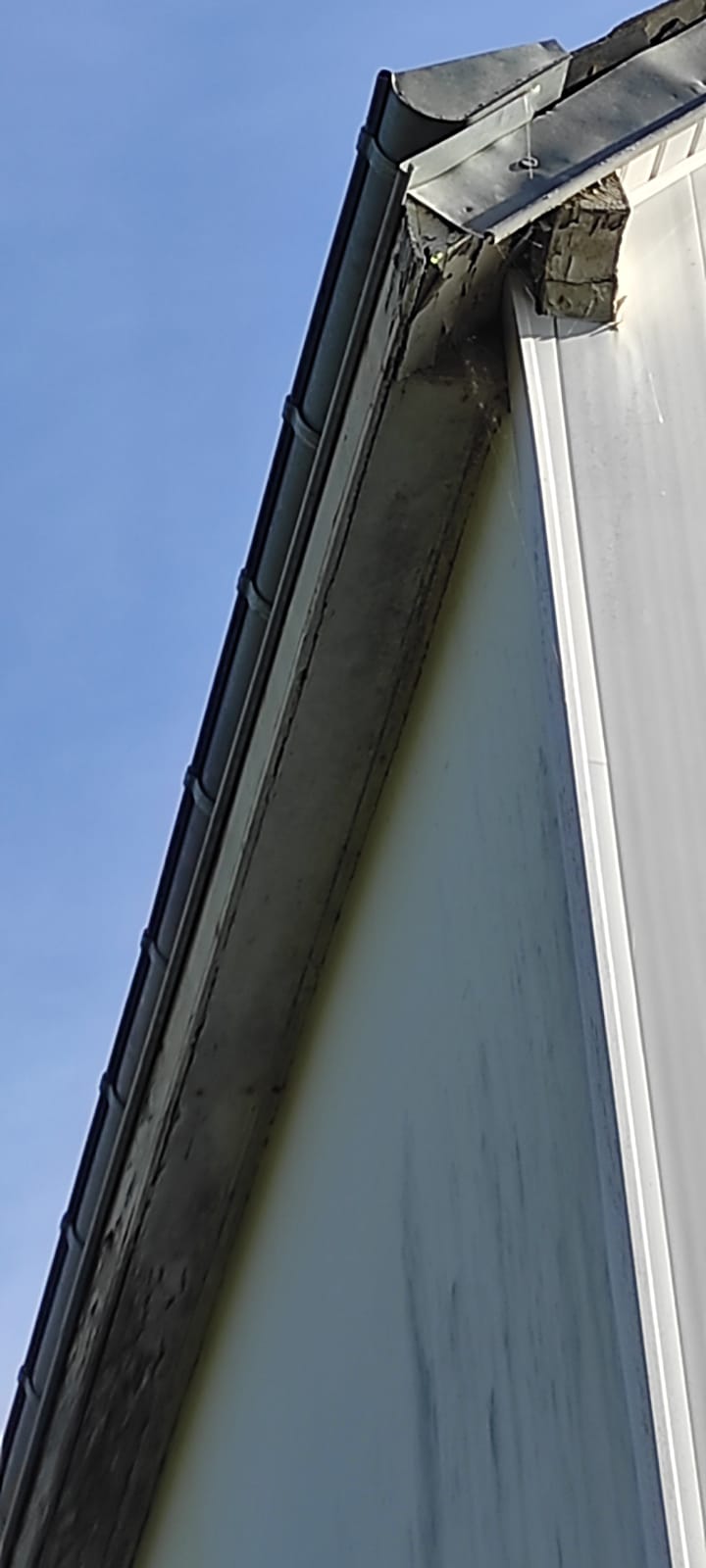 Pose de PVC sur planche de rive et sous-face - avant