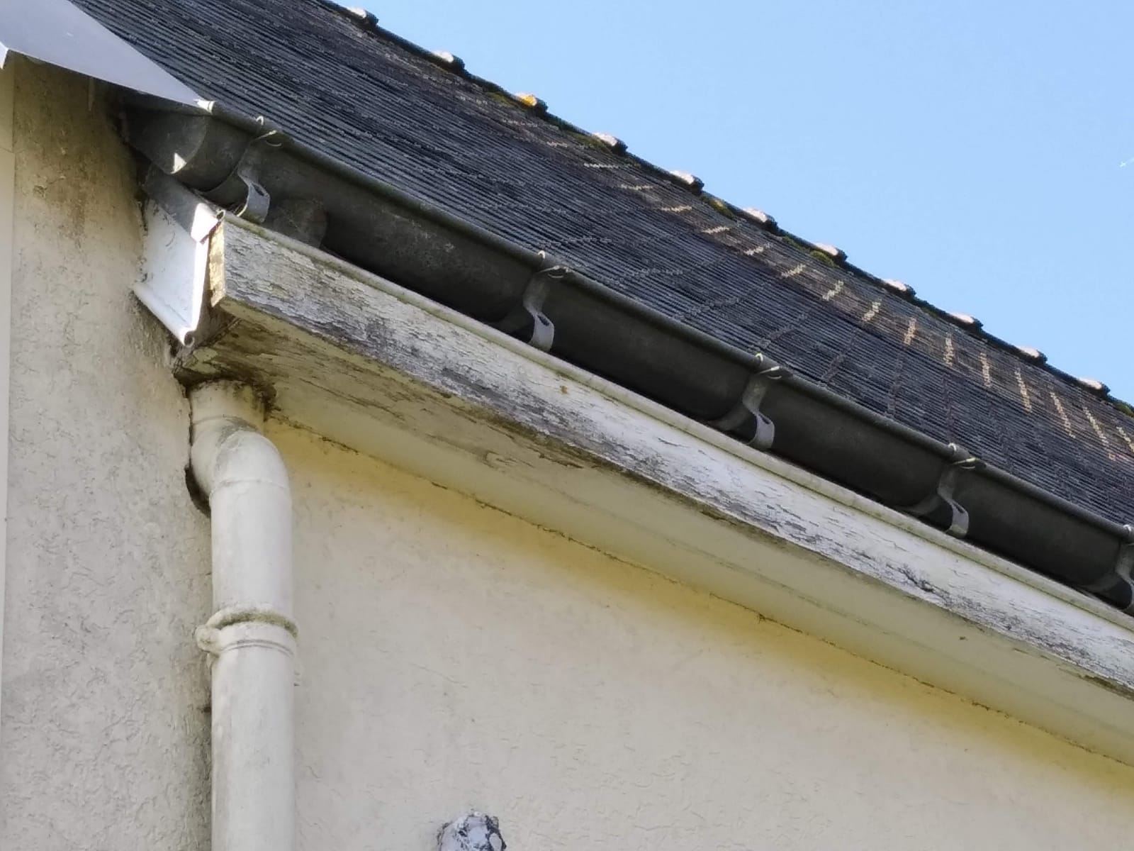 Pose de PVC sur planche de rive et sous face cache-moineaux - avant